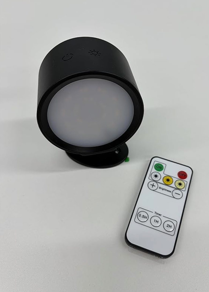 LED Wall Mounted Lights 2 Pcs Black