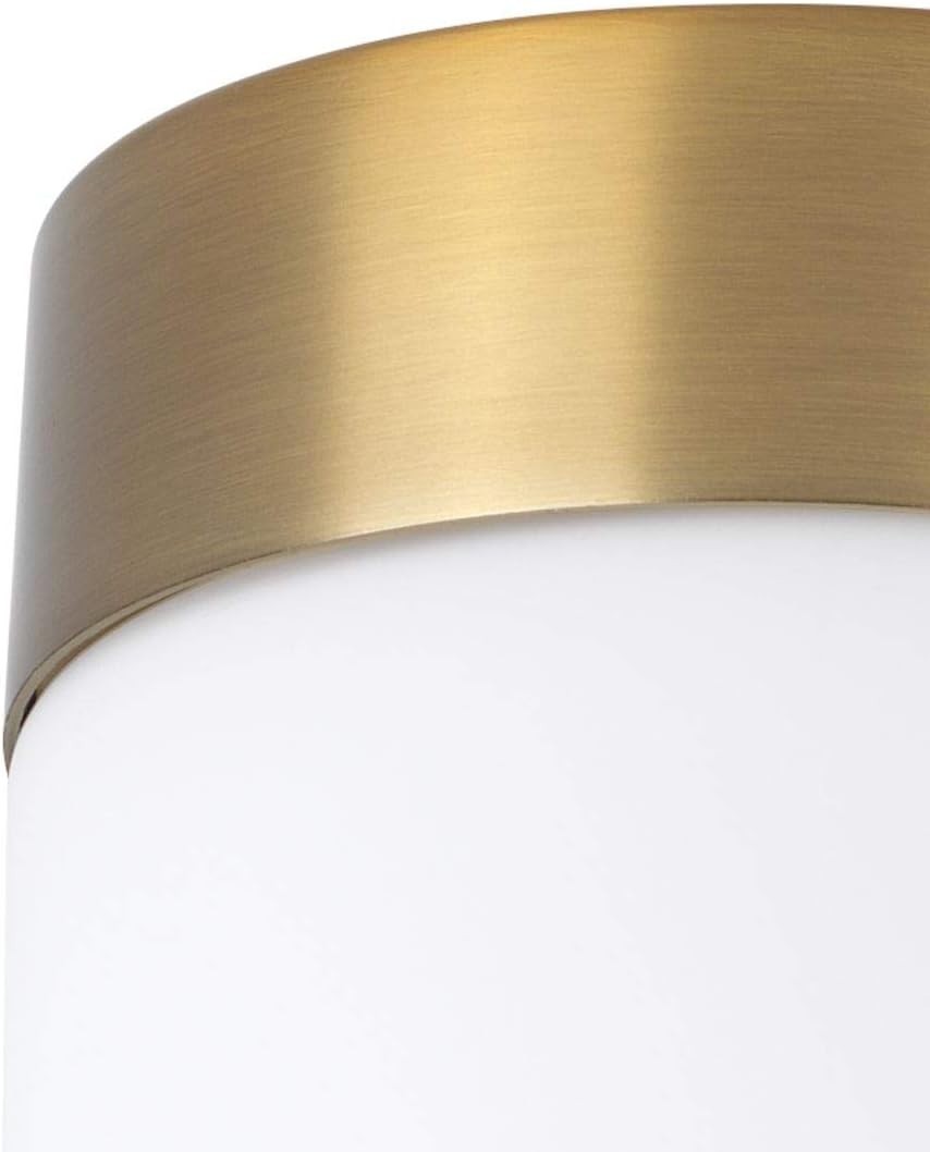 Progress Lighting Elevate 4-Light Brushed Bronze Etched White Glass Vanity Light