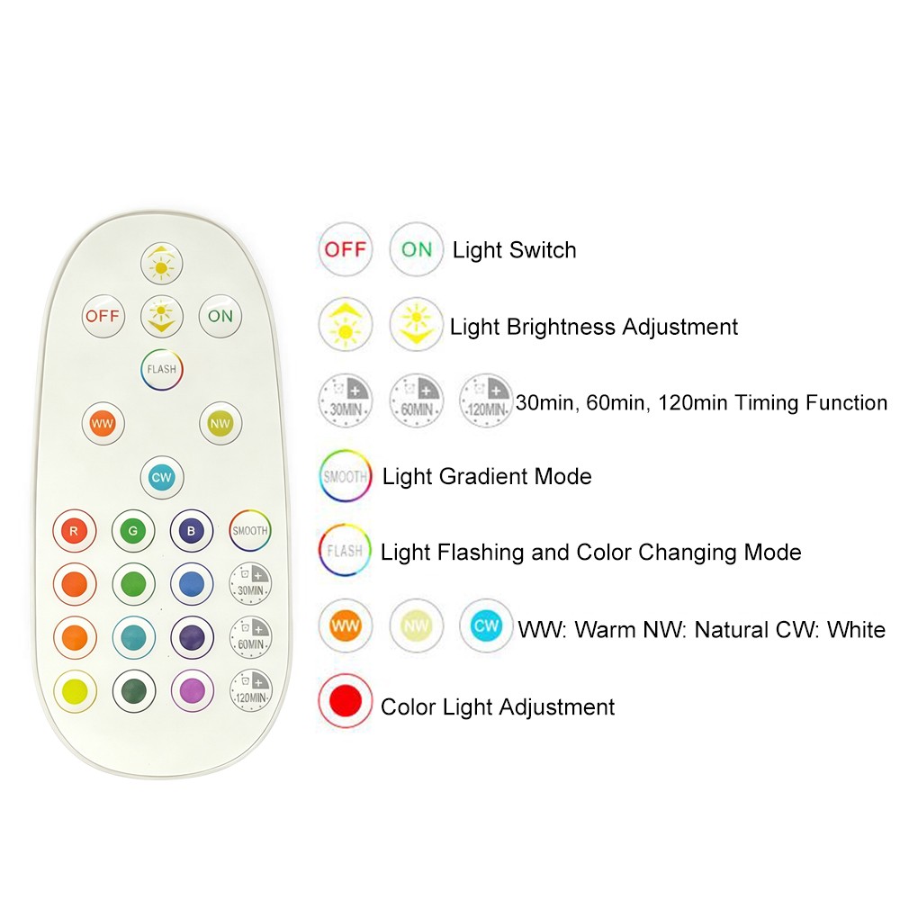 Set of 2 Battery Operated Wall Sconces with Remote Control Wireless Wall Light