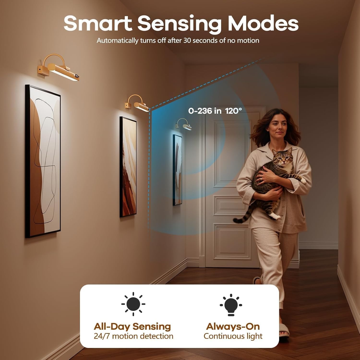 15.7» Picture Lights for Wall with Motion Sensor & 9000Mah Rechargeable Battery