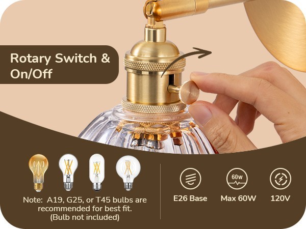 EDISHINE Vintage Brass Gold Vanity Lights, 180° Adjustable Head, Rotary Switch