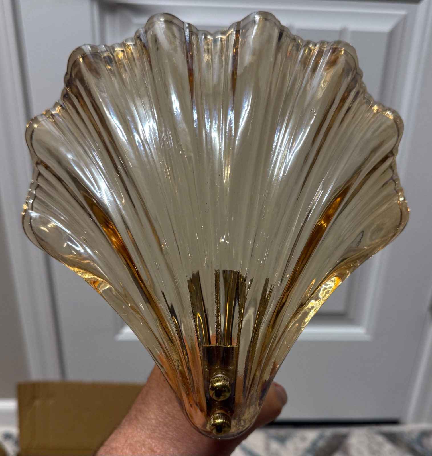 NEW Art Deco Lighting Amber Glass Shell Wall Lamp Mounted Light Sconce